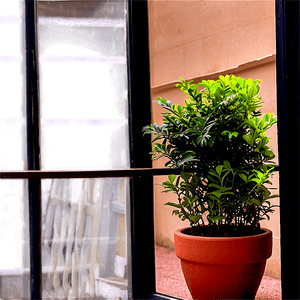 Potted Plants in Balcony Settings PNG ptf PNG