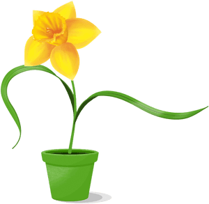 Daffodil Clipart Lamb - Artificial Flower, HD Png Download PNG image with transparent background