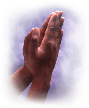 Transparent Background Prayer Hands Png, Png Download PNG with transparent background