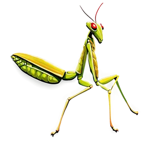 Praying Mantis Clipart Png 40 PNG Image