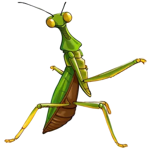 Praying Mantis Sketch Png Ojm PNG Image