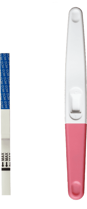 Early Pregnancy Tests, HD Png Download PNG with transparent background