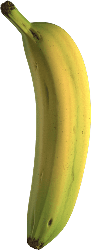 Preview - Saba Banana, HD Png Download PNG image with transparent background