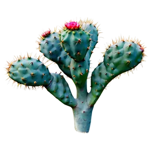 Prickly Pear With Thorns Png Gic PNG Image