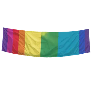 Pride Celebration Lgbt Flag Png 66 PNG Image