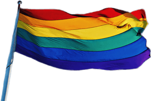 Clip Art Bandeira Lgbt Png - Bandeira Lgbt Png, Transparent Png PNG image with transparent background