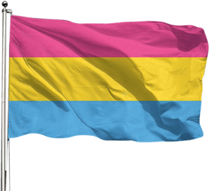 Pansexual Pride Flag, HD Png Download PNG image with transparent background
