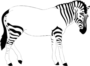 Print Out The Zebra - Zebra Lost His Stripes, HD Png Download PNG image with transparent background