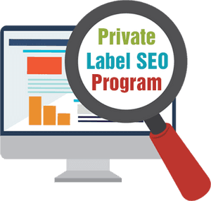 Private White Label Seo Services - Seo Services Icon Png PNG
