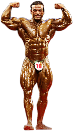 Null - Bodybuilding, HD Png Download PNG image with transparent background