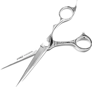 Professional Hairdressing Scissors PNG Image