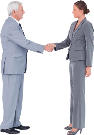 Professional Handshake Business Suits PNG Image