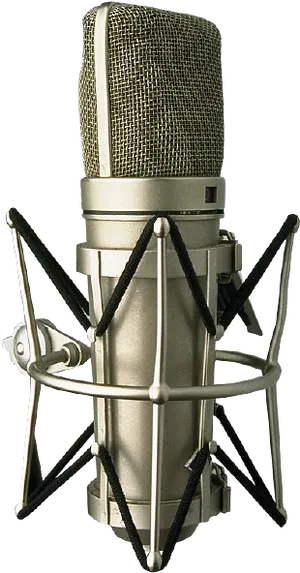 Professional Studio Microphone PNG Image