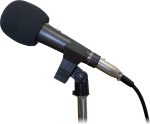 Professional Studio Microphone PNG Image