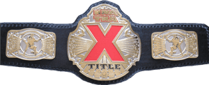 Wrestling Belt Png Photos Nwa Tna X Division - Nwa Tna X Division Championship, Transparent Png PNG image with transparent background