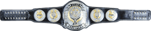 Belt Transparent Progress Wrestling Progress Atlas - Championship Belt Template Wrestling Intercontinental, HD Png Download PNG image with transparent background