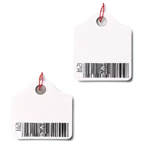 Promotional Coupon Tag Png Wxx86 PNG Image