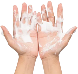 Proper Hand Washing Technique Coronavirus Prevention.png PNG Image