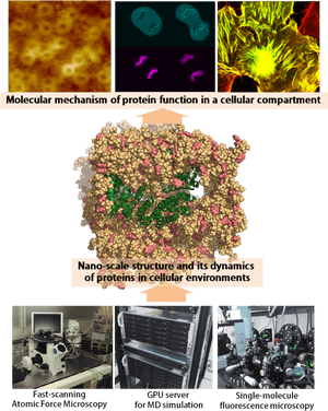 Protein Function Molecular Mechanism Research PNG image with transparent background