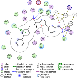 Ligand - Moe Ligand Interaction Diagrams, HD Png Download PNG image with transparent background