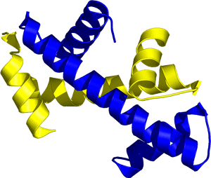 Protein Structure3 D Model PNG with transparent background