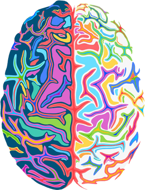 Art Brain Png Image - Psychedelic Png, Transparent Png PNG image with transparent background