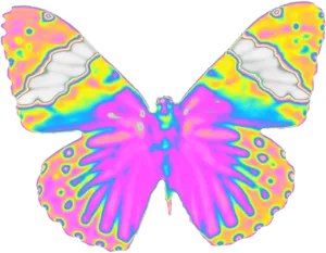 Psychedelic Butterfly Wings PNG Image