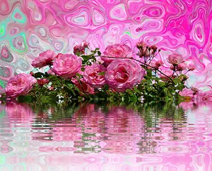 Psychedelic Pink Roses Reflection PNG Image