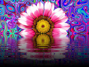 Psychedelic Summer Daisy Reflection PNG image with transparent background