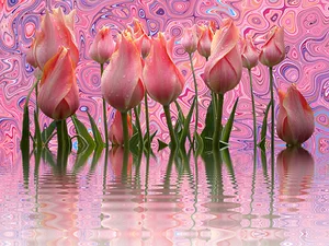 Psychedelic Tulips Reflection PNG Image