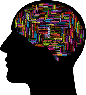 Transparent Psychology Icon Png - Brain Psychology, Png Download PNG image with transparent background