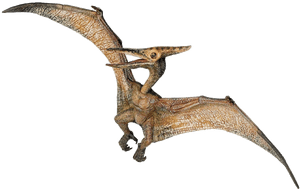 Pterosaur Illustration Jurassic Park PNG image with transparent background