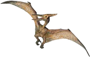 Pterosaur Illustration Jurassic Park PNG Image