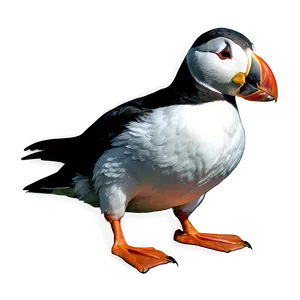 Puffin Digital Art Png Bgu PNG Image