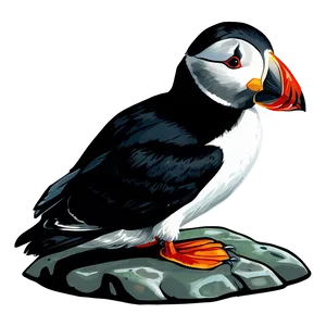 Puffin On Rock Png Gil PNG Image