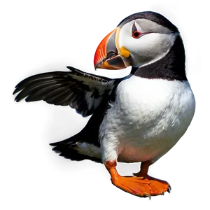 Puffin With Fish Png Vcx25 PNG Image