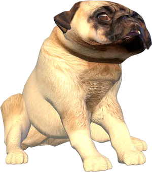 Pug Dog3 D Model PNG Image