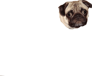 Clip Art For Free Download - Pug, HD Png Download PNG image with transparent background