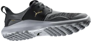 Puma Ignite Running Shoe PNG Image