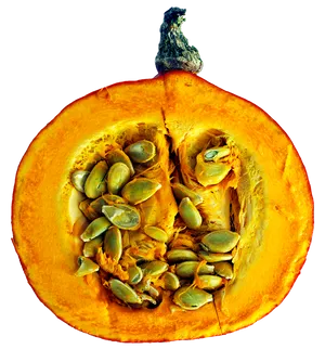 Pumpkin Halfwith Seeds.png PNG Image