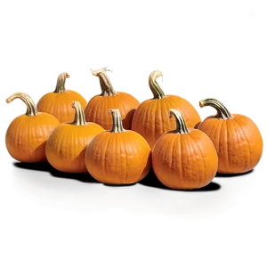 Pumpkin Patch Picking Experience Png 57 PNG Image