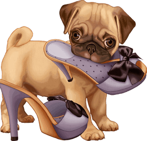 Puppy With Shoe Illustration PNG image with transparent background