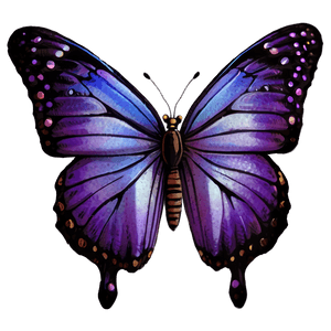 Purple Butterfly PNG 33 PNG image with transparent background