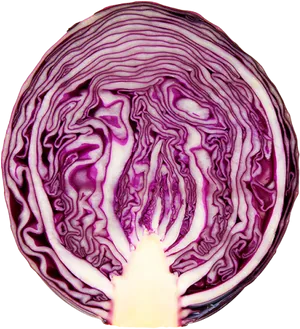 Purple Cabbage Cross Section PNG Image