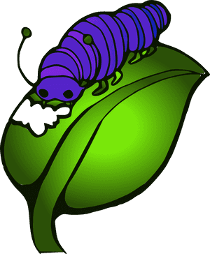 Caterpillar, Leave, Eat, Blue, Green, Hunger - Animasi Ulat Kupu Kupu, HD Png Download PNG with transparent background
