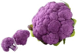 Purple Cauliflower Variety PNG Image