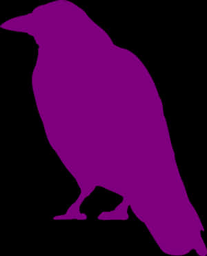 Purple Crow Silhouette PNG image with transparent background
