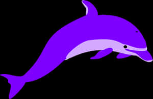 Purple Dolphin Graphic PNG image with transparent background