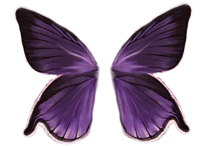 Purple Fairy Wings Illustration PNG Image