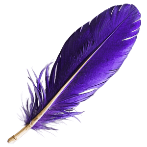 Purple Feather PNG 2 PNG image with transparent background